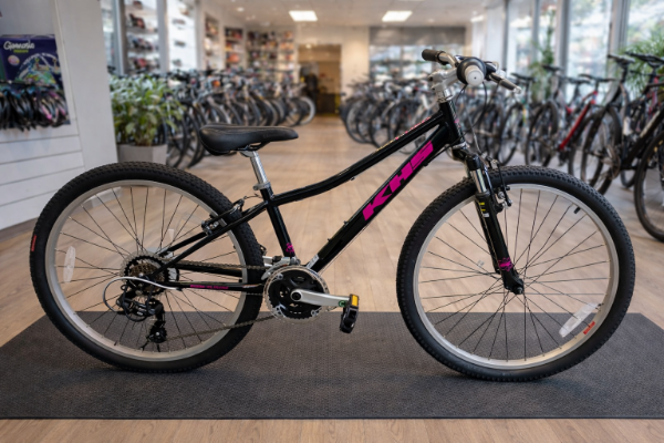 Producto - Bicicleta T-REX Rodado 24