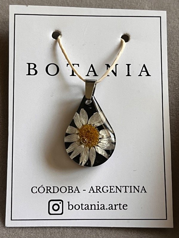 Producto - Margarita 12
