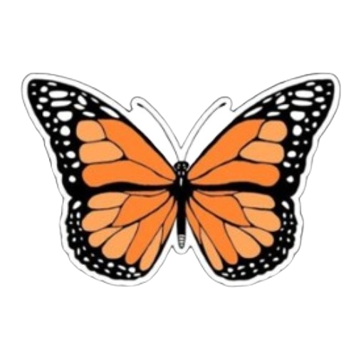 Producto - Mariposa