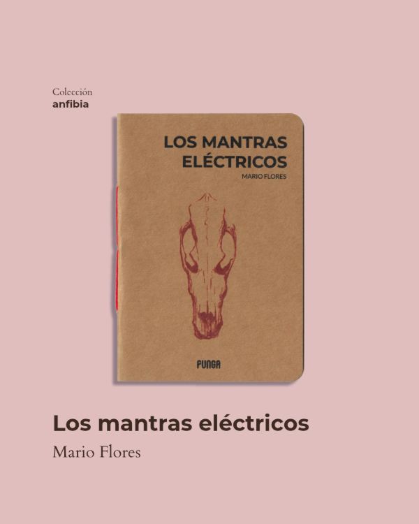 Producto - Los mantras eléctricos, Mario Flores