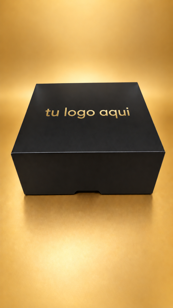 Producto - CAJA TAPA BISAGRA NEGRA COD.1538 25X11X25 - 3