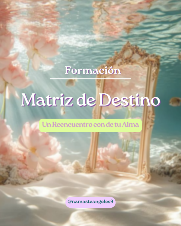 Producto - Matriz de Destino (Primer Modulo)