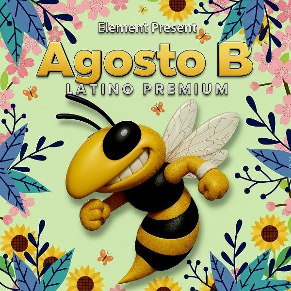 Producto - Element - Agosto B (2025)
