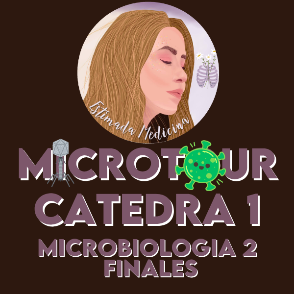 Producto - MICRO 2 FINALES (CÁTEDRA 1)