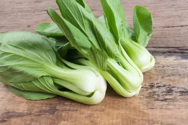 Producto - 2 Plantines agroecologicos de pak choi