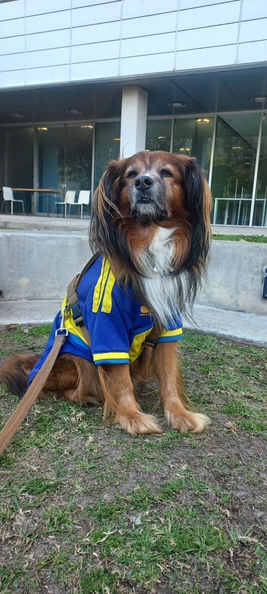 Producto - Camiseta Boca Juniors 2026-2027 - 2