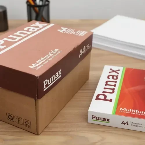 Producto - Caja 10 RESMAS Punax 75gr
