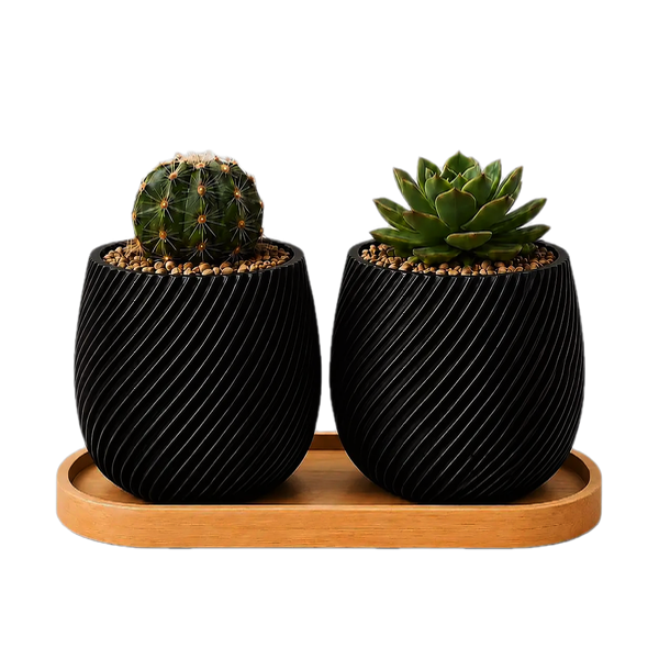 Producto - Set Macetas Gemelas con Bandeja - Ideal Cactus y Suculentas - 4