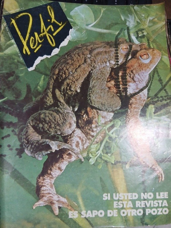 Producto - REVISTA PERFIL N 2