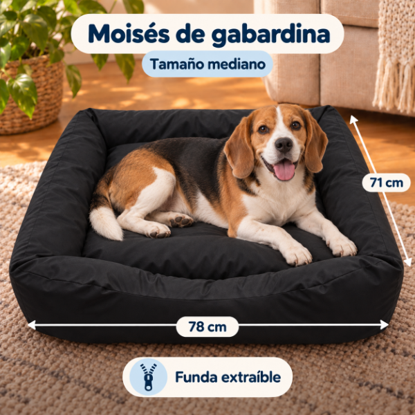 Producto - ART. D 1006 MOISES DE GABARDINA - 2