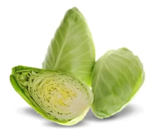Producto - Semillas agroecologicas de repollo corazon de buey