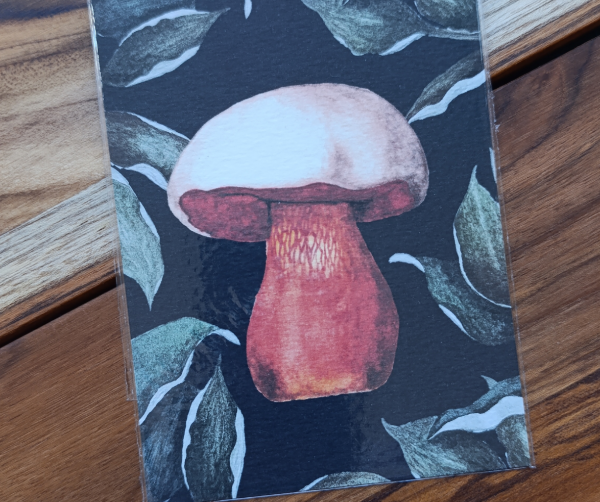 Producto - Ilustración Boleto de Satanás - 1