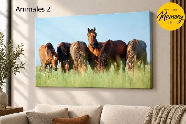 Producto - Cuadro Animales - Diseño 2