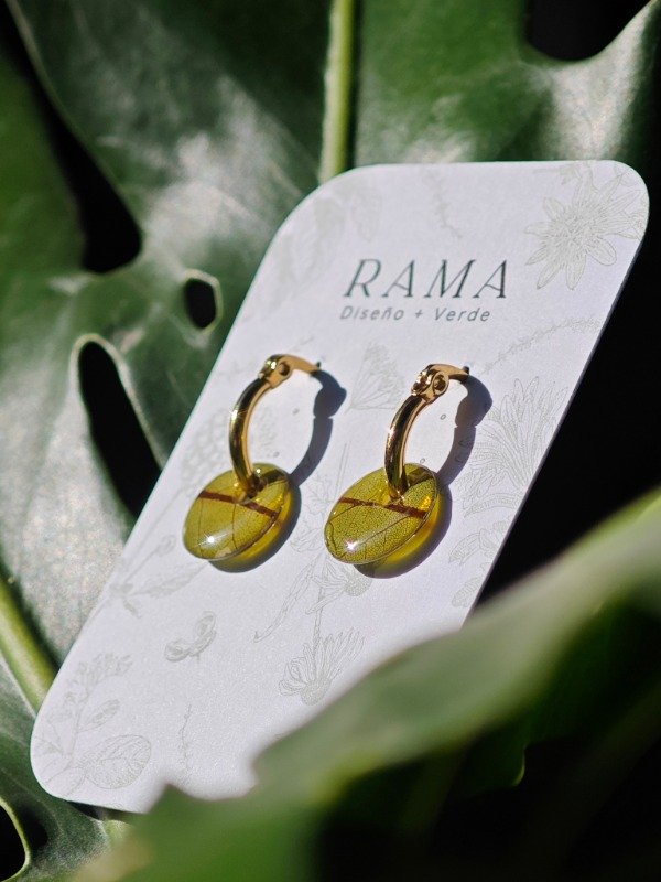 Producto - Aros Alba dorados con dona de hoja verde