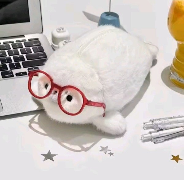 Producto - Cartuchera foca