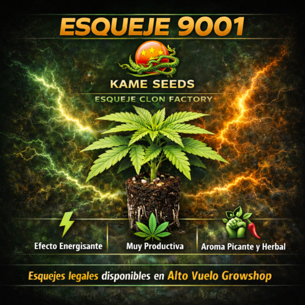 Producto - Esqueje Kame Seeds - 9001
