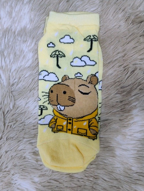 Producto - Capy Life