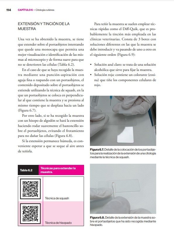 Producto - Verde: Diagnósticos Dermatológicos Canino y Felino - 5