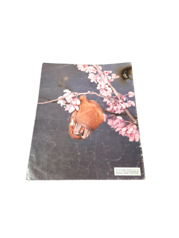 Miniatura de producto - 11