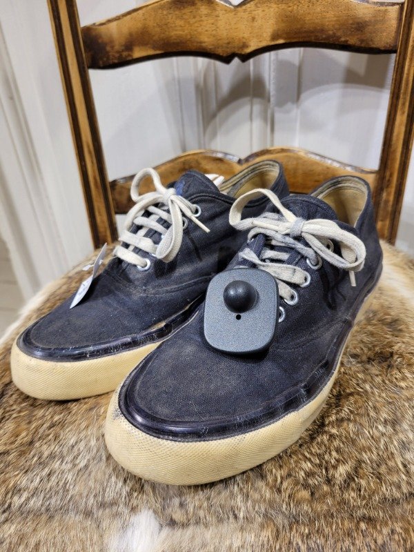 Producto - Zapatillas POLO RALPH LAUREN negras de lona Talle 37.5 - PRECIO: 16X