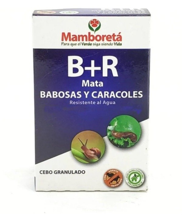 Producto - B+R Mamboreta