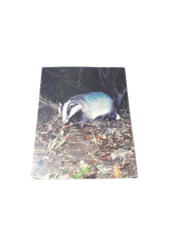 Miniatura de producto - 7