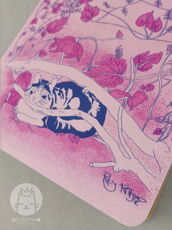 Producto - Cuaderno Cachi - 3