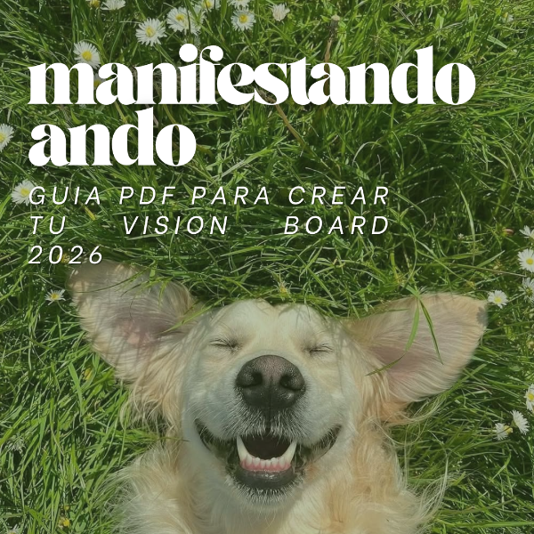 Producto - MANIFESTANDO ANDO - GUIA PDF
