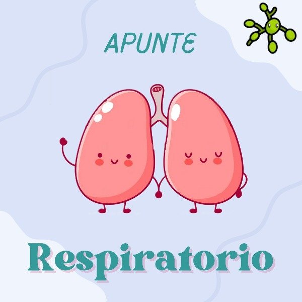 Producto - Apunte RESPI VIRTUAL