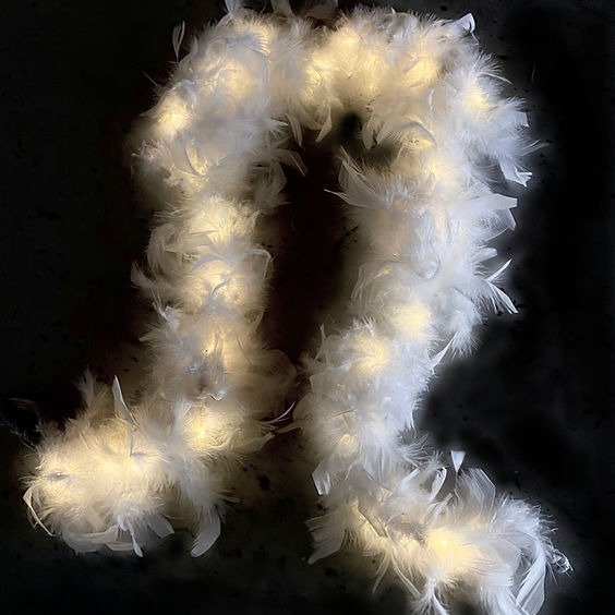 Producto - Boas Plumas White Led x 10