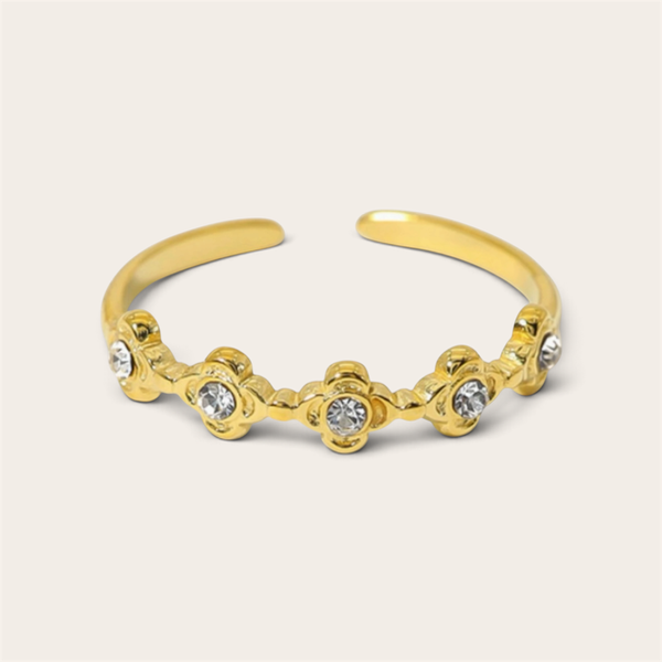 Producto - Anillo Cari - 0