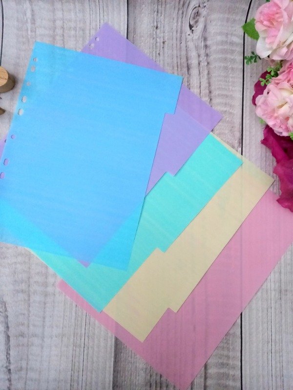 Producto - Separadores A4 pastel