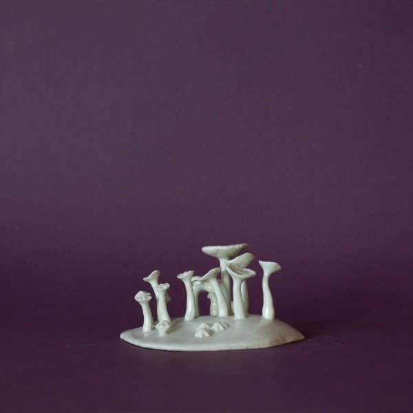 Miniatura de producto - 6