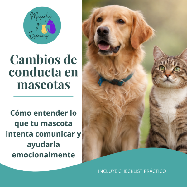 Producto - Cambios de conducta en mascotas