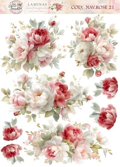 Producto - NAV.ROSE 21 UV