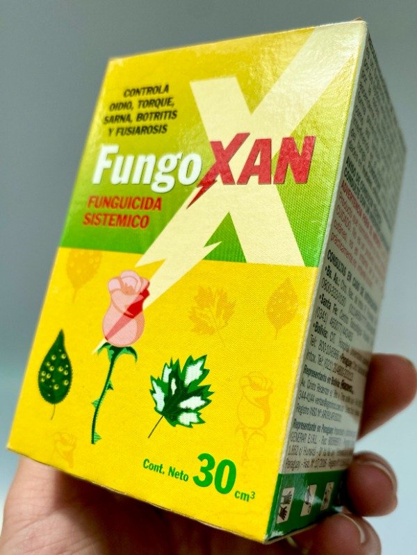 Miniatura de producto - 2