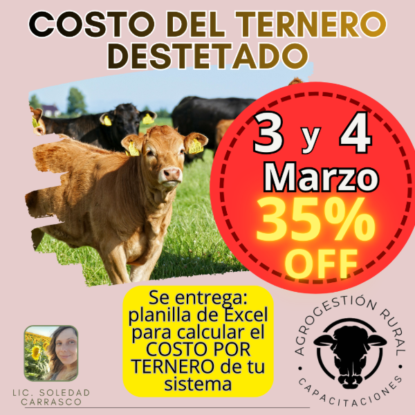Producto - Taller Online: Costo del Ternero