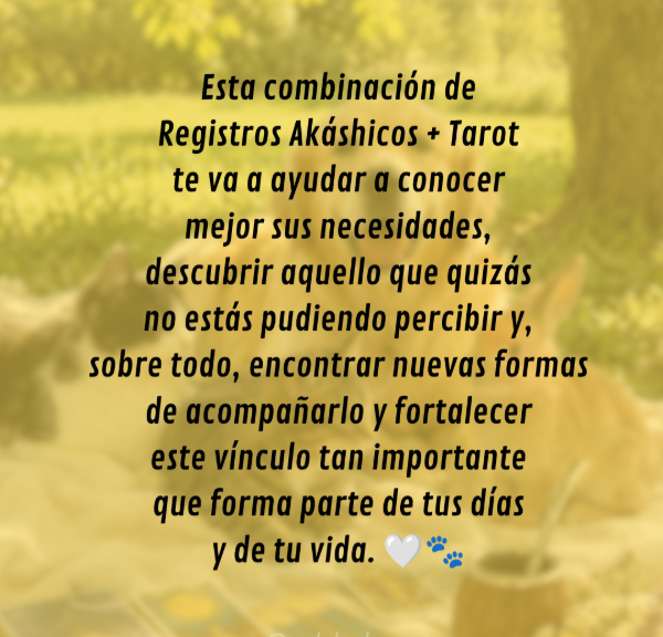 Producto - Registros Akashicos para mascotas - 2