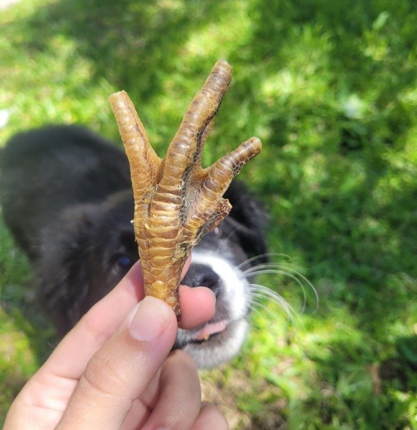 Producto - Garritas de pollo