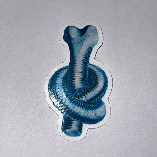 Producto - LOUTA LA FORMA DE TUS HUESOS