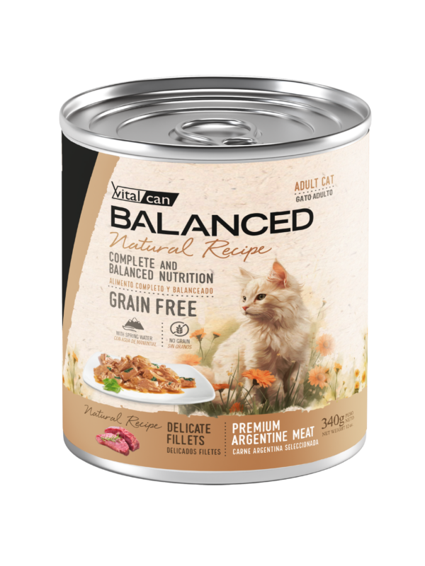 Producto - Vital Can Natural Récipe Delicados Filetes Gato Adulto Carne 340gr.