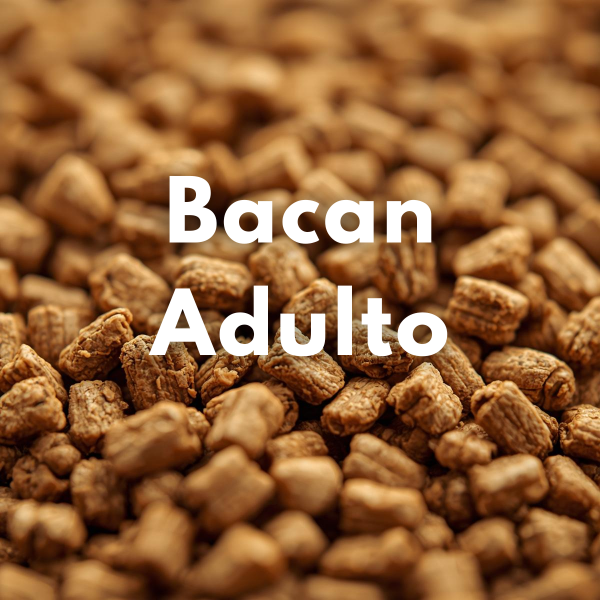 Producto - Bacan Adulto (Granel)