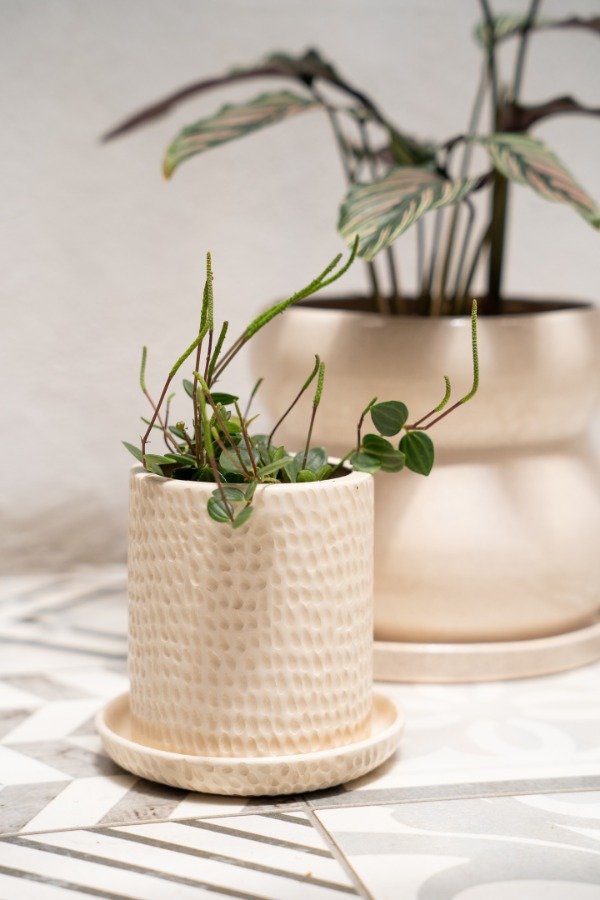 Producto - Maceta Cili con plato