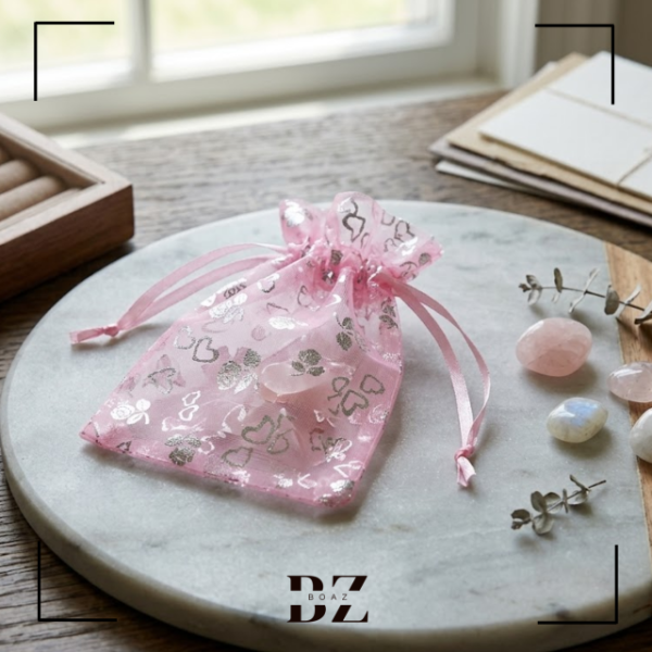 Producto - BOLSITA DE ORGANZA  10 CM X 6.5 CM X 100 PCS 646-1