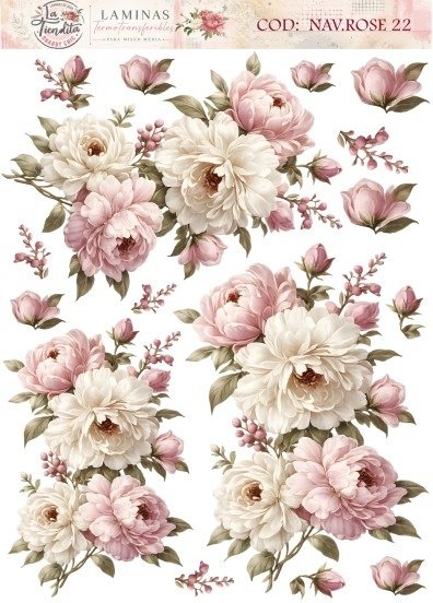 Producto - NAV.ROSE 22 UV MIXED