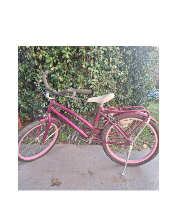 Producto - Bici rodado 20 / ruedas nuevas