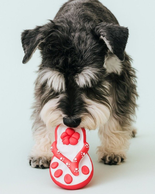 Producto - Juguete para Mascota con Chifle Ojota