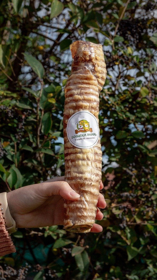 Producto - Tráquea XL 30 cm