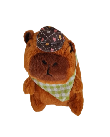 Producto - Capi con pañuelito
