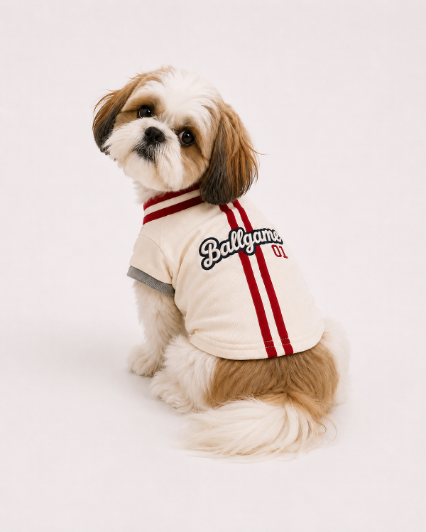 Producto - Chaqueta Ballgame